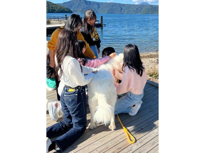 哇！ ！和 SPY×FAMILY 中也很受歡迎的大型犬 Grepi 一起玩耍！距離十和田湖、奧入瀨溪 5 分鐘車程の紹介画像