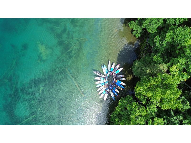 【北海道・支笏湖】水質日本一の湖でプライベートなサップ体験！写真や動画は無料プレゼント・ 初心者大歓迎・小さなお子様やDOGSUPも♪の紹介画像