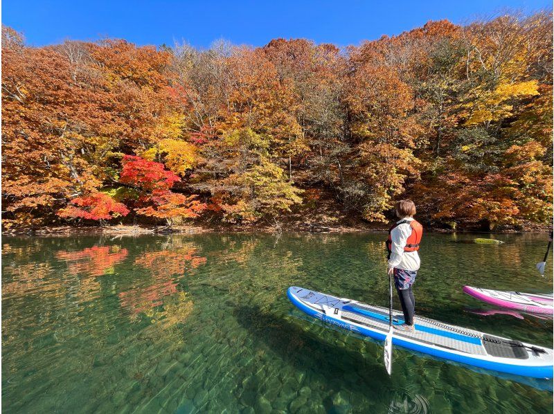【北海道・支笏湖】水質日本一の湖でプライベートなサップ体験！写真や動画は無料プレゼント・ 初心者大歓迎・小さなお子様やDOGSUPも♪の紹介画像