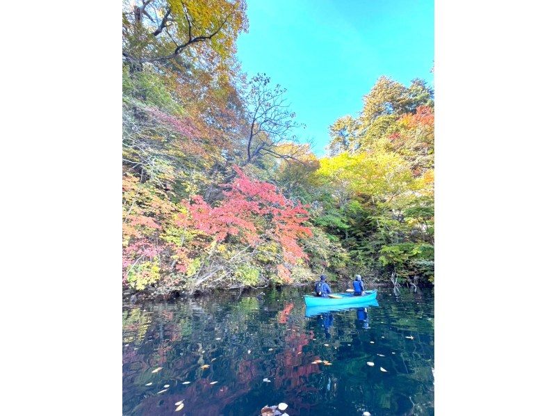 十和田湖【グリランド リブツアー】世界最大の二重カルデラ湖を巡るボートツアー　奥入瀬渓流から車で５分！　いぬいますよの紹介画像