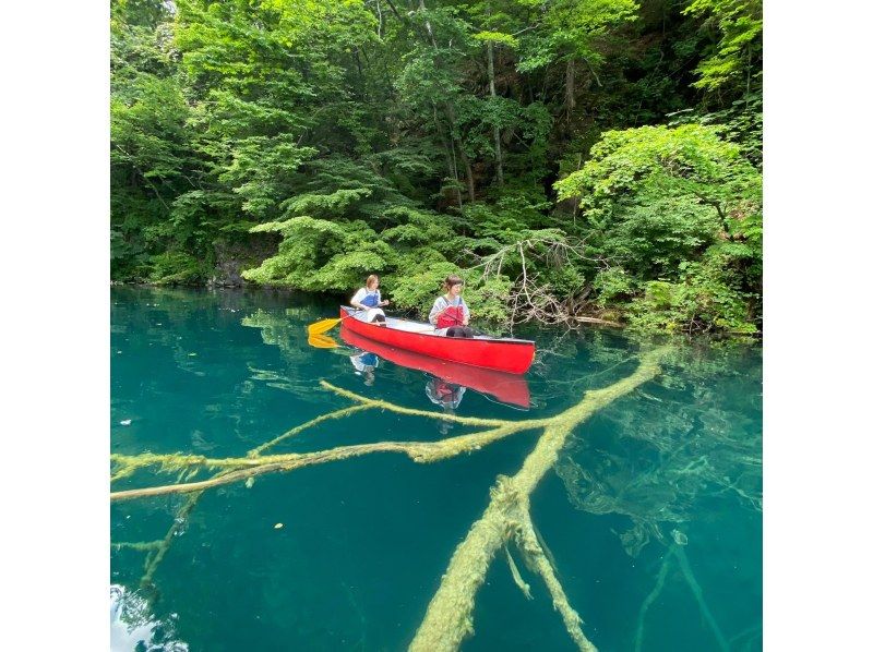 【十和田湖カヌーツアー】世界最大の二重カルデラ湖の特別保護区を探検！　奥入瀬渓流から車で5分！　いぬいますよの紹介画像