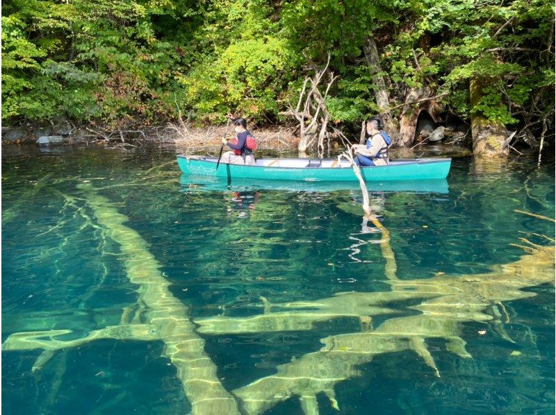 グリランド【十和田湖カヌーツアー】リブツアーもセットでお得。最大の二重カルデラ湖の特別保護区を探検！奥入瀬渓流から車で5分！いぬいますよの紹介画像