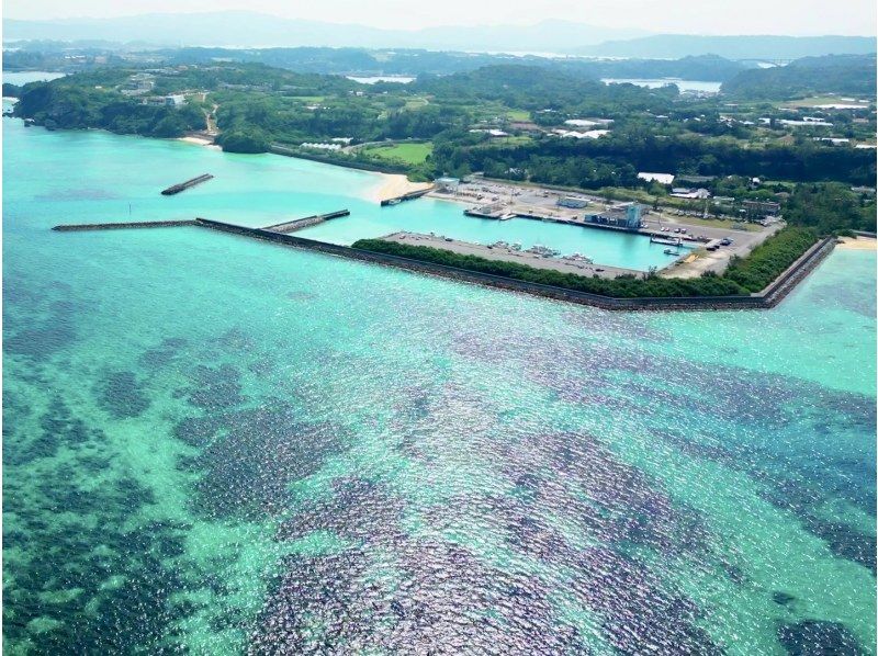 【古宇利岛海上拖伞】春假优惠登场☆【爱之岛】在心形岩上空漫步～冲绳最长的200m绳索！免费 GOPRO ^^ [令人惊叹的景色和隐秘的地方]の紹介画像