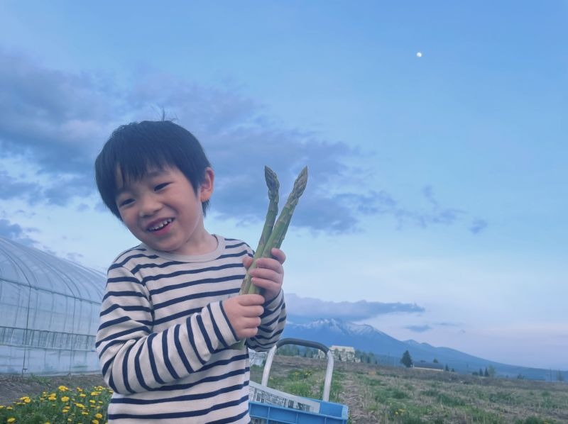 【北海道・上富良野】ビニールハウス＆ファーム体験で自然満喫ツアーの紹介画像
