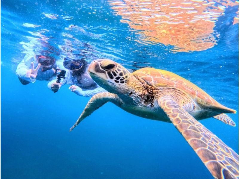超お得セット★2大人気スポットへ！《写真4K動画・器材＆送迎無料》幻の島＋青の洞窟＋ウミガメ99%シュノーケル★竹富格安券＆ドローン持込可！の紹介画像