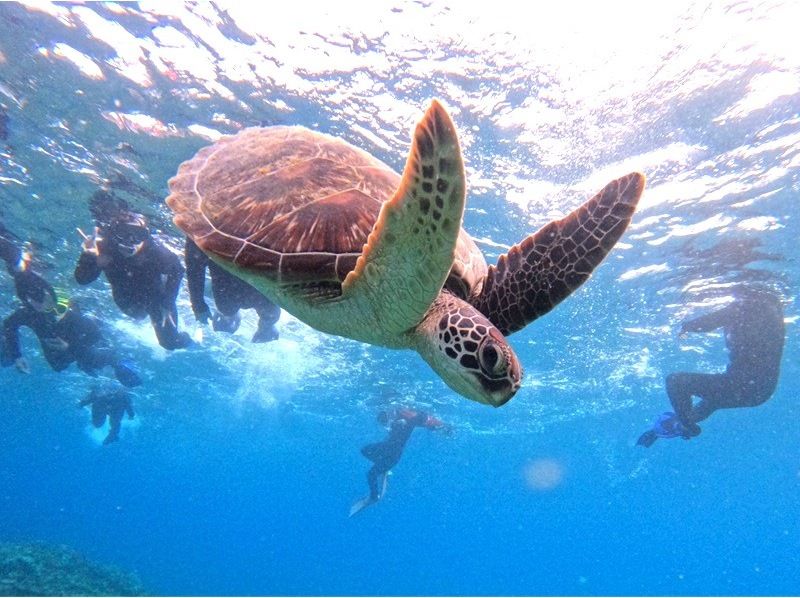 超お得セット★2大人気スポットへ！《写真4K動画・器材＆送迎無料》幻の島＋青の洞窟＋ウミガメ99%シュノーケル★竹富格安券＆ドローン持込可！の紹介画像