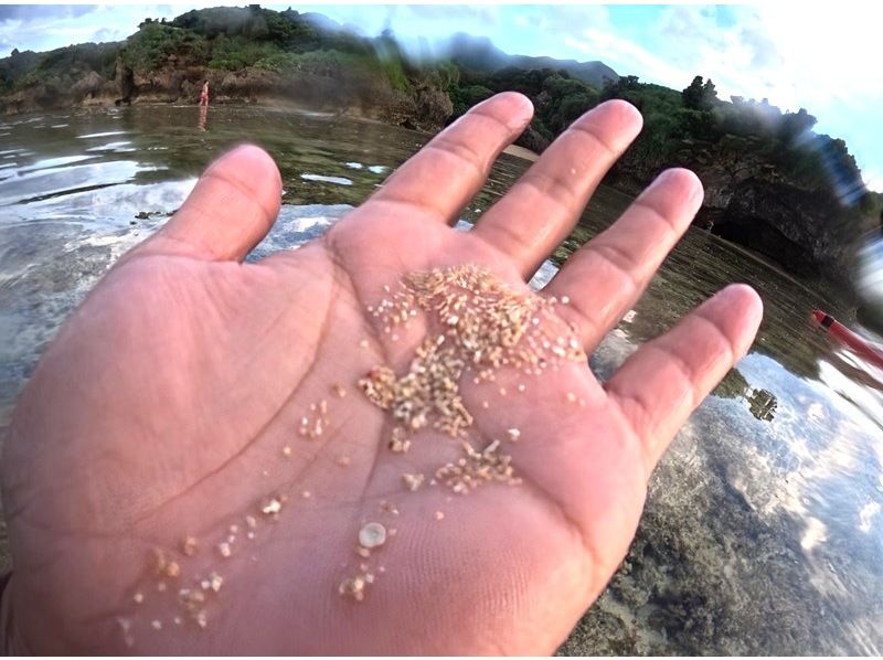 SALE！超お得セット★2大人気スポットへ！【石垣島】幻の島＋青の洞窟＋ウミガメシュノーケル《写真＋動画データ・送迎＆器材無料》竹富格安券有の紹介画像