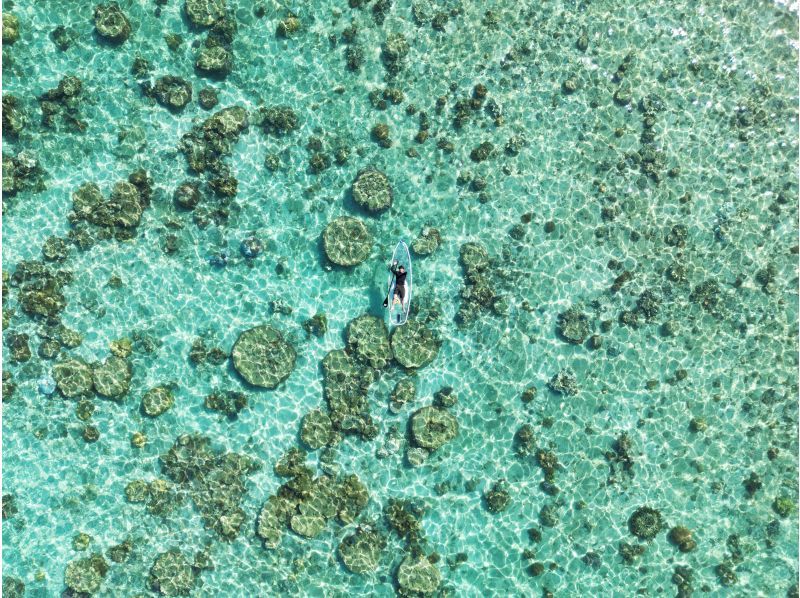 [Okinawa / Kabira Bay] Private clear Sup tour / 4K. Free drone video and photography & Free GoPro