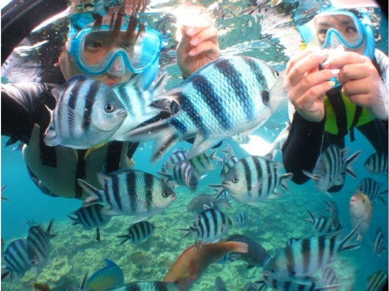 【沖繩/恩納村】藍洞浮潛+乘船香蕉船|無限次水下攝影、影片拍攝|免費停車、淋浴、吹風機|餵魚體驗|好玩極了の紹介画像