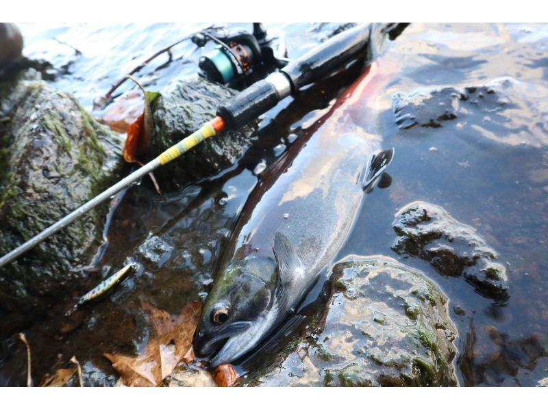 【北海道・弟子屈】心と体をリフレッシュ！北海道の大自然を満喫する渓流釣りツアーの紹介画像