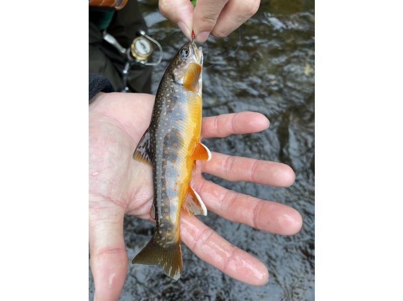 【北海道・弟子屈】心と体をリフレッシュ！北海道の大自然を満喫する渓流釣りツアーの紹介画像