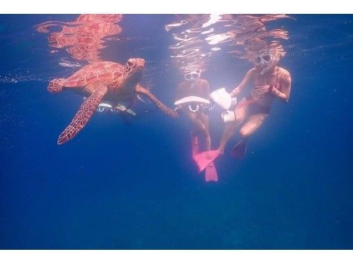 石垣島【船で行く・3歳から参加OK】幻の島上陸&シュノーケリングツアー(半日) 石垣島【船で行く・3歳から参加OK】幻の島上陸&シュノーケリングツアー(半日)