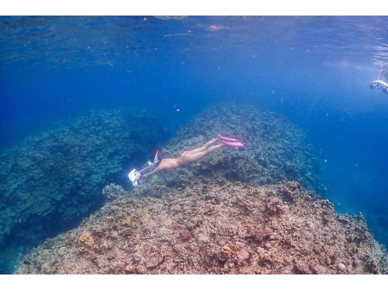 石垣島【船で行く・3歳から参加OK】幻の島上陸＆シュノーケリングツアー（半日）の紹介画像