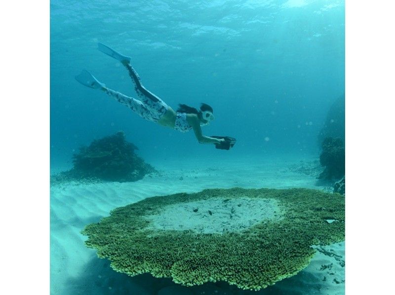 石垣島【船で行く・3歳から参加OK】幻の島上陸＆シュノーケリングツアー（半日）の紹介画像
