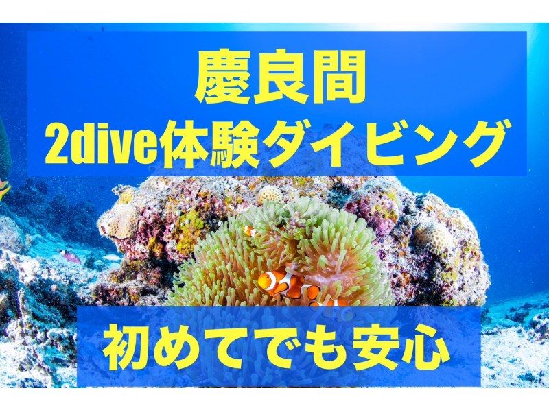 SALE！【慶良間・送迎有】感動の海№1❤ウミガメ会える？2～3ダイブ・ボート体験ダイビングの紹介画像