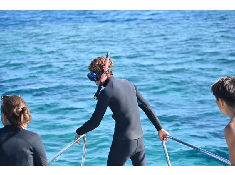 SALE！【慶良間・送迎有】感動の海№1❤ウミガメ会える？2～3ダイブ・ボート体験ダイビングの紹介画像