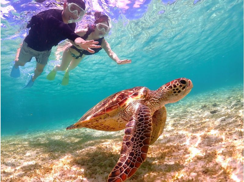 【宮古島】【貸切限定プラン！！】ウミガメ遭遇率100％！全データプレゼントで最高な思い出間違いなし！★満足できなかったら全額返金保証！の紹介画像