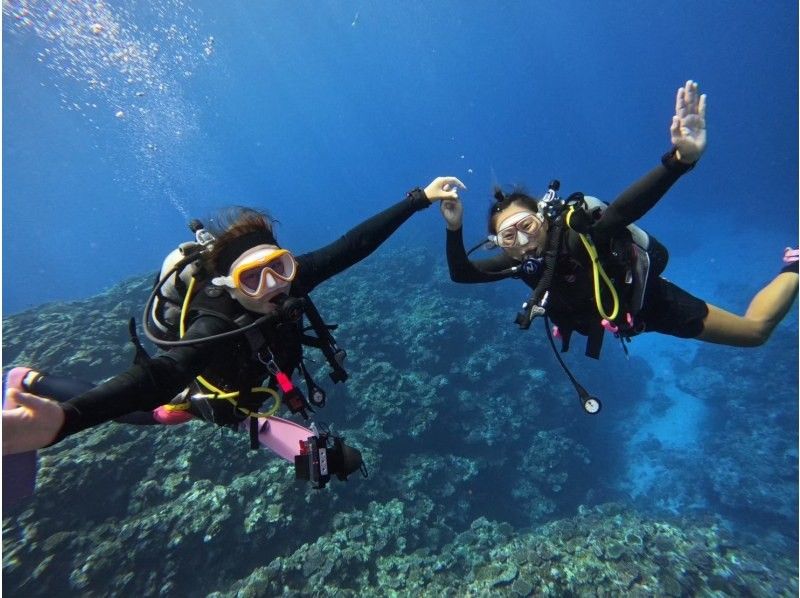 石垣島【ライセンス不要・初心者歓迎・船で行く】 大満足体験ダイビングツアー（1日）の紹介画像