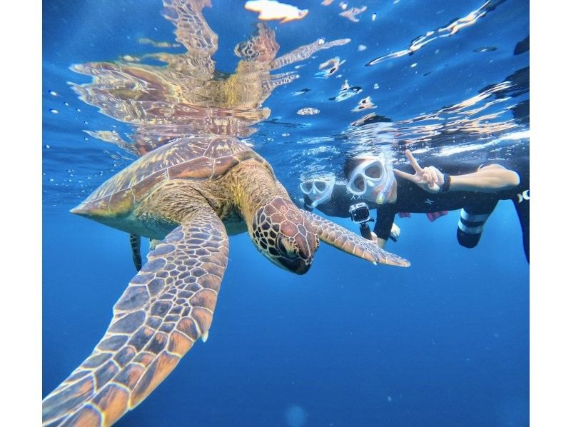 ★Student discount★Blue Cave [Lowest price in the industry★Participants from 3 years old] 99% chance of encountering sea turtles★Available on the day★Meet Nemo and lots of tropical fish! Free transportation/equipment/photosの紹介画像