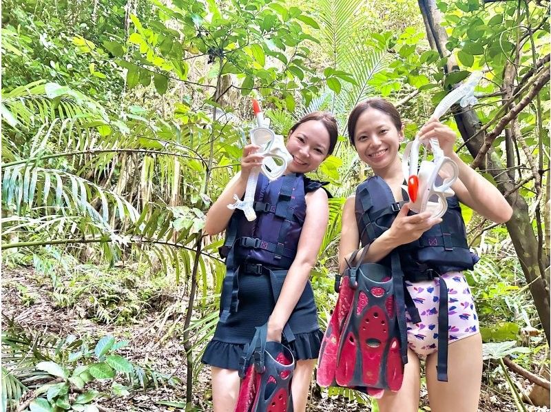 ★Student discount★Blue Cave [Lowest price in the industry★Participants from 3 years old] 99% chance of encountering sea turtles★Available on the day★Meet Nemo and lots of tropical fish! Free transportation/equipment/photosの紹介画像