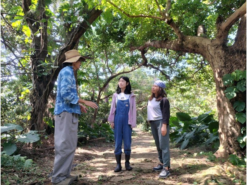 【沖縄　那覇】琉球古民家で体験する　福木染め　ファミリー、女子旅行などにおすすめの紹介画像