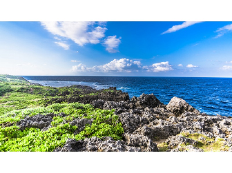 ★All entrance fees included★ [Departing from Naha, Okinawa] Let's go to Yanbaru! Tour the Rail Forest and Oishirinzan Mountain, Yanbaru National Park Nature Enjoyment Course (Course C)の紹介画像