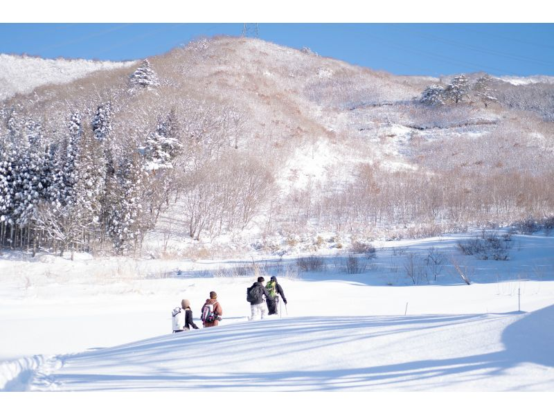 [新泻/越后汤泽]雪鞋之旅，您可以享受最好的粉雪！欢迎初学者！の紹介画像