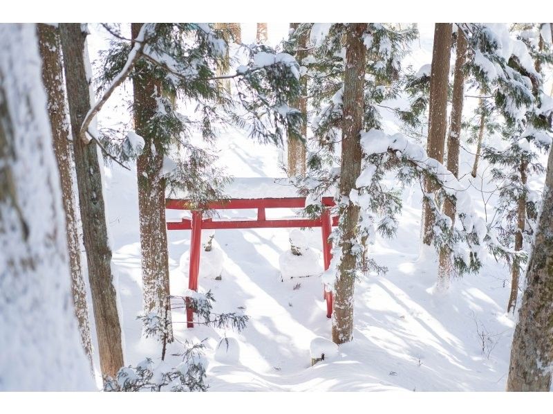[Niigata/Echigo Yuzawa] Snowshoe tour where you can experience the finest powder snow! Beginners are welcome!の紹介画像