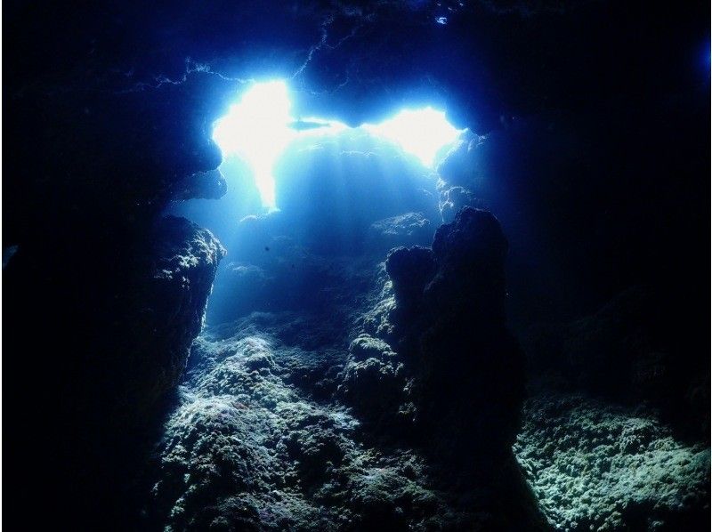 沖繩/石垣島/有趣的潛水 我們還將引導您前往世界領先的蝠鱝點之一！對於C卡持有者！の紹介画像