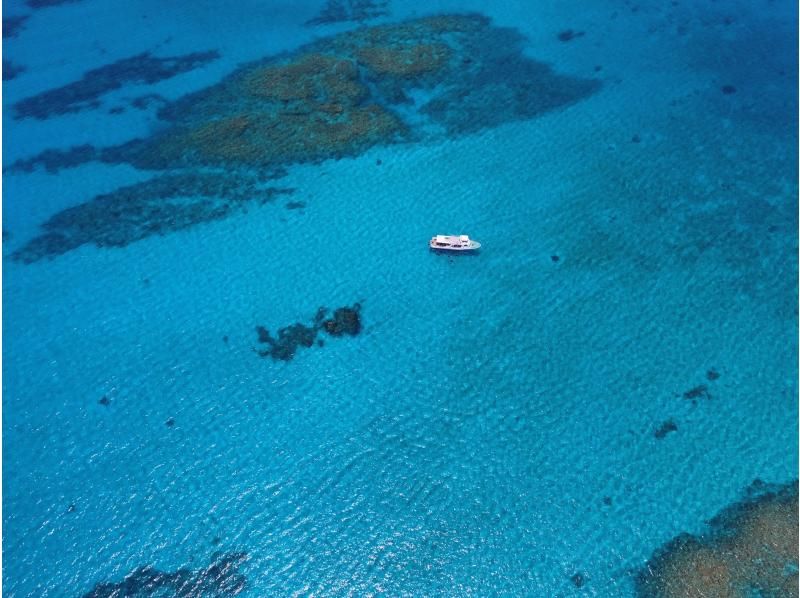 [Okinawa, Ishigaki Island] 2 boat fun diving and skin diving one-day tour ☆ Beginners and solo travelers are welcome in small groups ♪の紹介画像