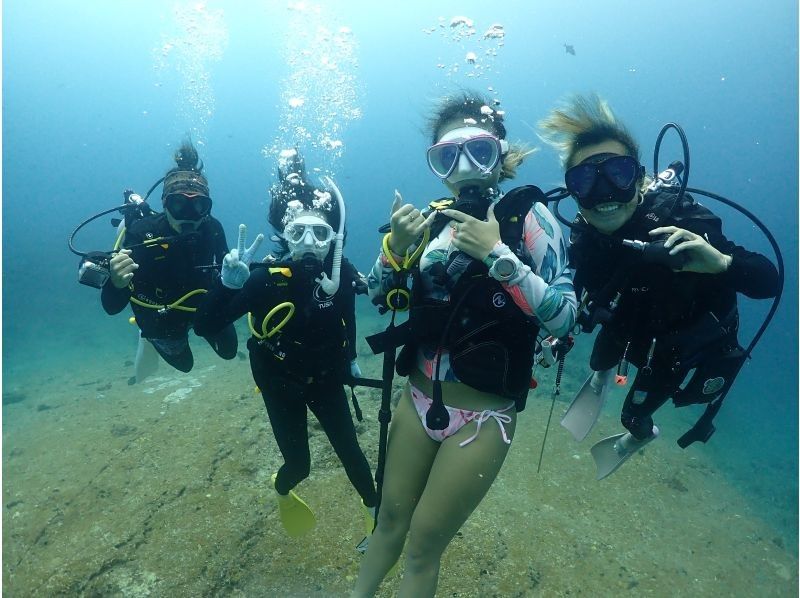 [Okinawa, Ishigaki Island] 2 boat fun diving and skin diving one-day tour ☆ Beginners and solo travelers are welcome in small groups ♪の紹介画像