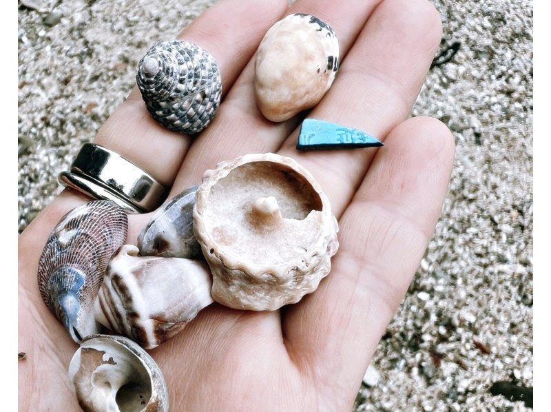 【宮崎・団体様/キャンドル作り教室】25名以上の団体参加可能！環境教育型プラン：貝殻、シーグラスなどビーチコーミングで探そうの紹介画像