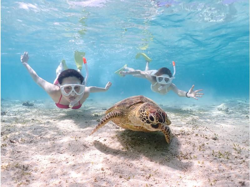 [Have fun with young guides] [A must-see for girls' trips!] Special plan for 20-29 year olds! Sea turtle snorkeling! Vertical video recording!の紹介画像