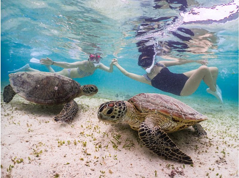 [Have fun with young guides] [A must-see for girls' trips!] Special plan for 20-29 year olds! Sea turtle snorkeling! Vertical video recording!の紹介画像