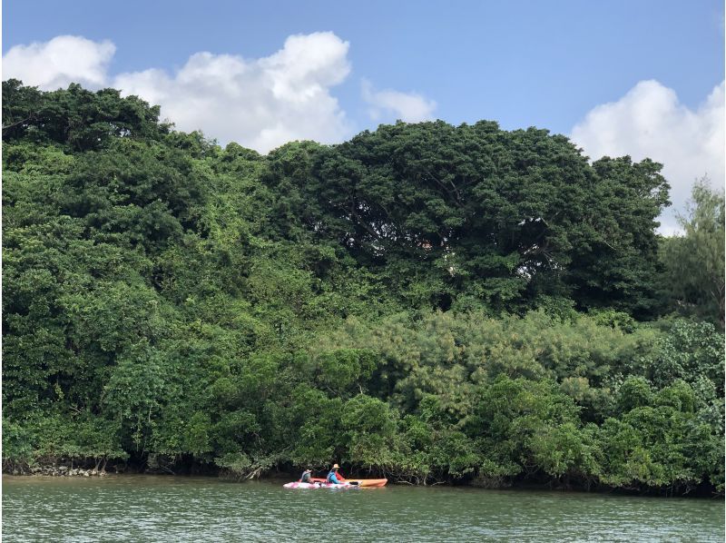 [Group discount] Same-day reservations OK ★ 2pm departure ★ 4,980 yen per person for 4 or more people! [Mangrove Kayaking] Safe even for beginners! Enjoy a comfortable time with the new facility!の紹介画像