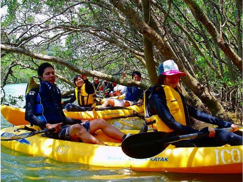 [Group discount] Same-day reservations OK ★ 2pm departure ★ 4,980 yen per person for 4 or more people! [Mangrove Kayaking] Safe even for beginners! Enjoy a comfortable time with the new facility!の紹介画像