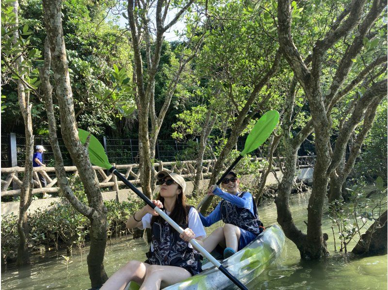 [Golden Week only, starting at 14:30] {Mangrove Kayaking} Same-day reservations accepted ★ Beginners are welcome! Enjoy a comfortable time at the new facility! の紹介画像