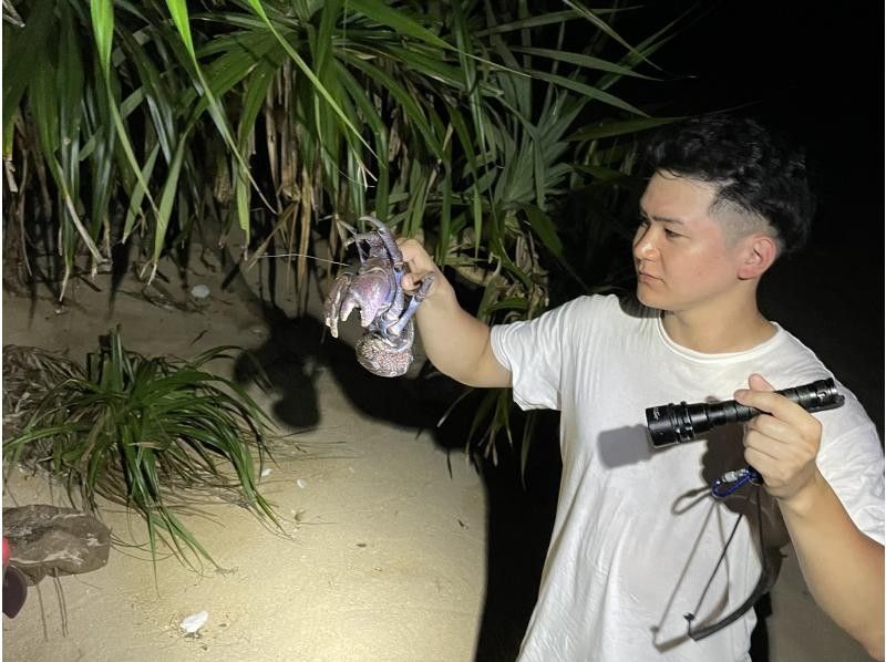 【石垣島／ナイトツアー】お子様連れにもおすすめ！夜のジャングルで南の島の生き物を探そう☆の紹介画像