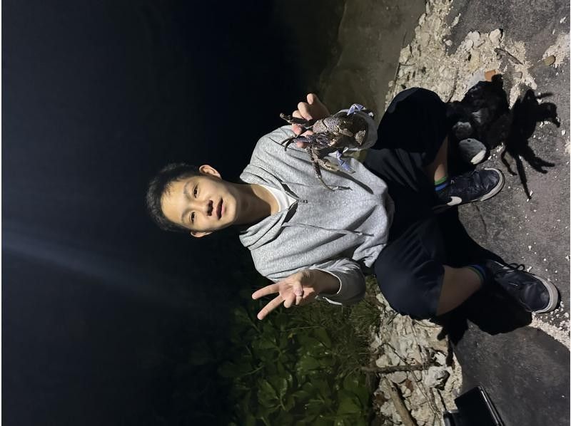 【石垣島／ナイトツアー】ヤシガニ遭遇率99%★天の川鑑賞★お子様連れにもおすすめ！夜のジャングルで生き物に触れよう★（写真データ無料）の紹介画像