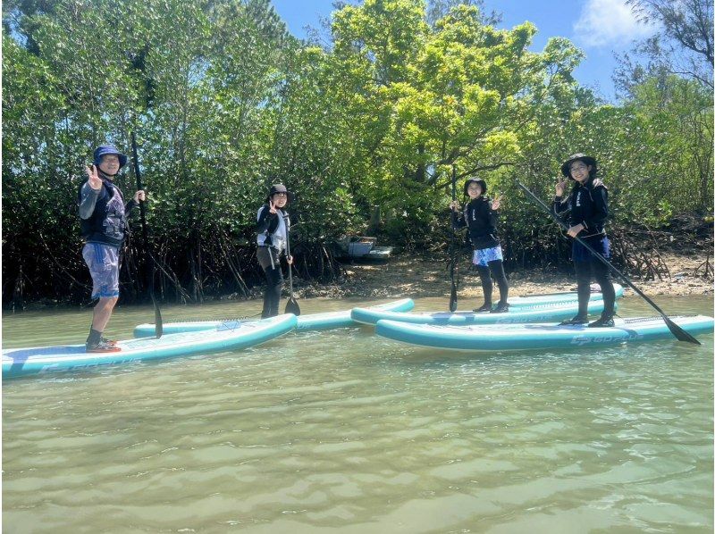 【沖縄・宮古島】SUP・宮古島唯一のマングローブ探検ツアーの紹介画像