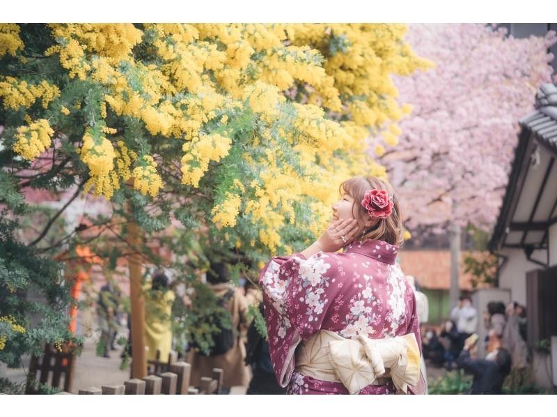  [5-minute walk from Asakusa Station/Yukata rental] Women's yukata plan with hair styling and accessories included♪ <Recommended for friends and couples>の紹介画像