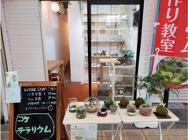 [Osaka, Yodogawa-ku] Moss terrarium making \ Container with knob lid plan / Recommended for couples and first-timersの紹介画像