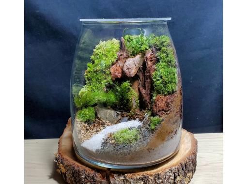 Osaka, Yodogawa-ku] Moss terrarium making  Container with knob