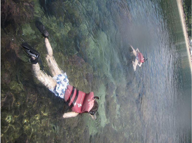 【宮崎・日南/シュノーケル・SUPツアー】ビーチワルンハダシ集合：海の生き物を探しにサップで海へ遊びに行こう！子供の自然体験の紹介画像