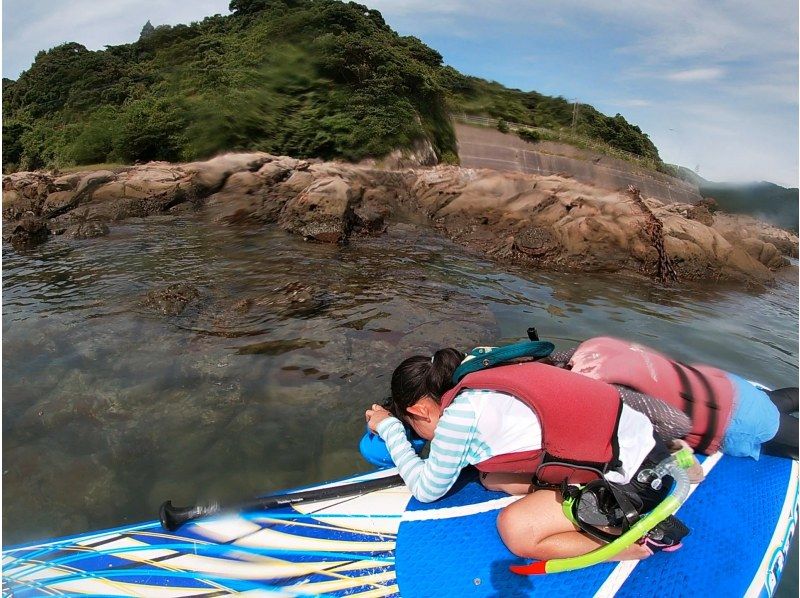 【宮崎・日南/シュノーケル・SUPツアー】ビーチワルンハダシ集合：海の生き物を探しにサップで海へ遊びに行こう！子供の自然体験の紹介画像