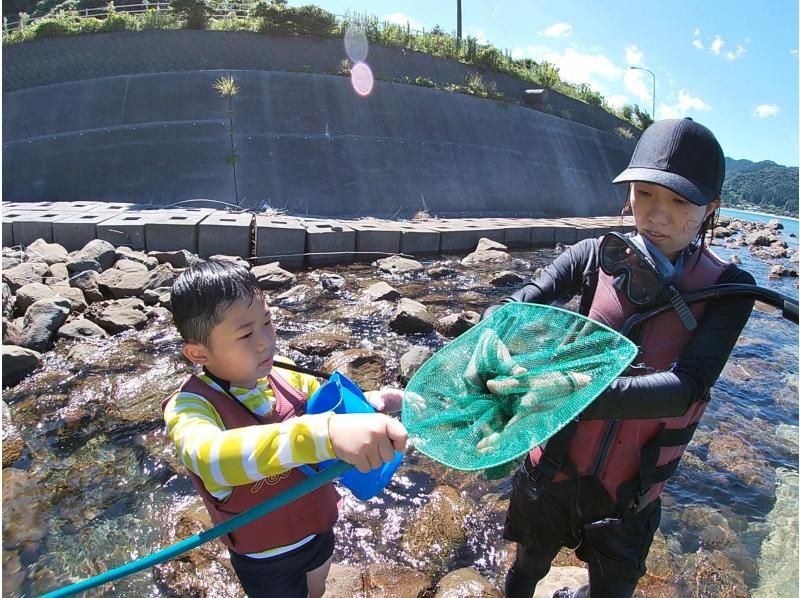 【宮崎・日南/シュノーケル・SUPツアー】ビーチワルンハダシ集合：海の生き物を探しにサップで海へ遊びに行こう！子供の自然体験の紹介画像