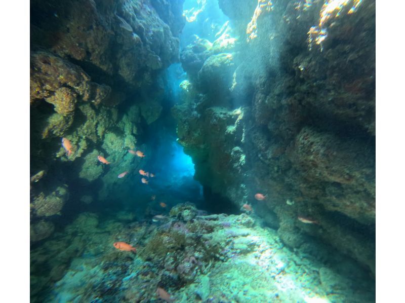 [Okinawa, Sesoko Island/Minna Island] Near the Churaumi Aquarium, 2-boat experience diving! Beginners can feel at ease with a private instructor! Pick-up and drop-off available!の紹介画像