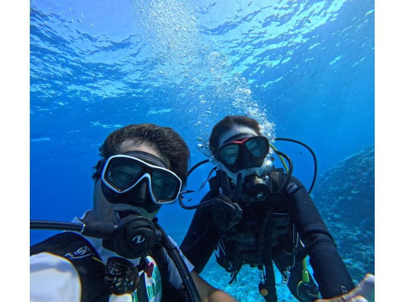 SALE! [Okinawa, Sesoko Island/Minna Island] Near the Churaumi Aquarium, 2 boat diving experience! Beginners can feel at ease with a private instructor! Pick-up and drop-off available!の紹介画像