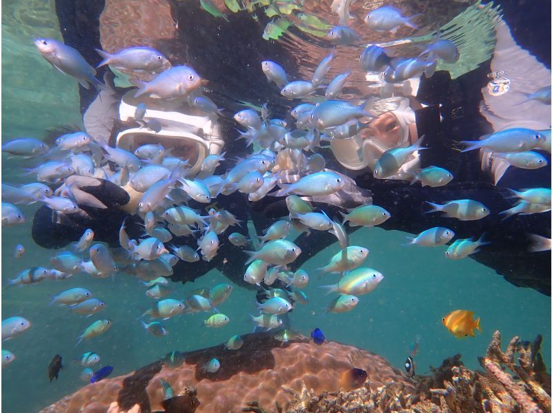 【沖縄 糸満から約15分｜学割プラン】海のテーマパーク・天然水族感でウミガメ＆100種以上を探索シュノーケリング｜初心者大歓迎｜当日予約OKの紹介画像