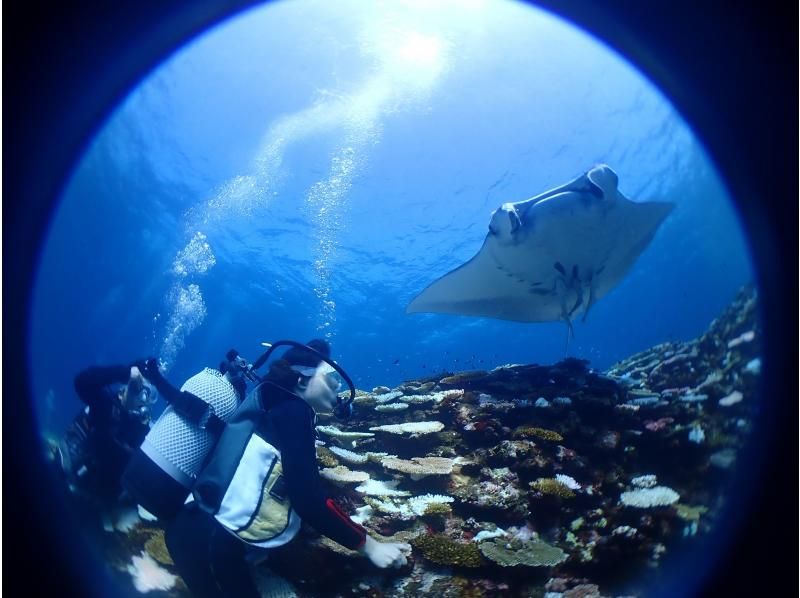 【沖縄・石垣島】ゆっくり練習ができる体験ダイビングゆっくり1日・3diveプラン★マンタ・ウミガメ・ニモに会えるかも⁉石垣島内は無料送迎♪の紹介画像